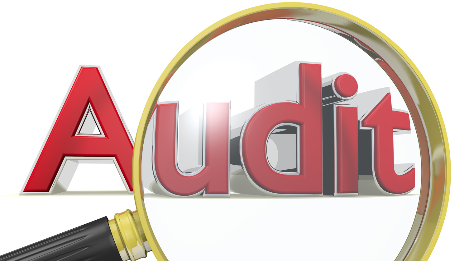 Case Study: Website Audit Reveals Opportunities for Better Results ...